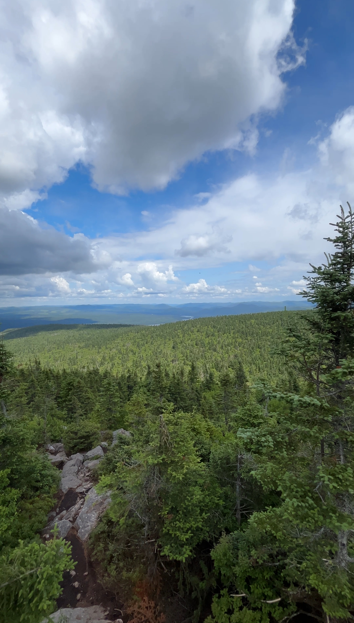 anoramic view from the summit of Mount Carleton, New Brunswick, showing dense green forest below and layers of rolling hills fading into the horizon under a dramatic cloudy sky.
