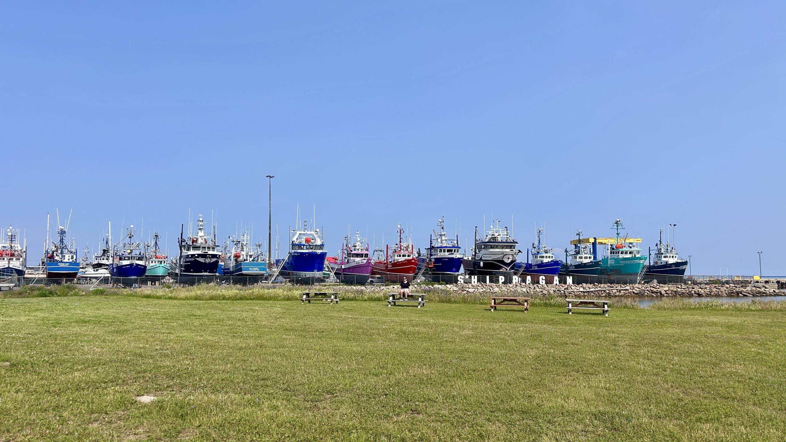 Row of colorful fishing boats dry-docked in Shippagan, New Brunswick, with picnic benches and a clear blue sky in the background.