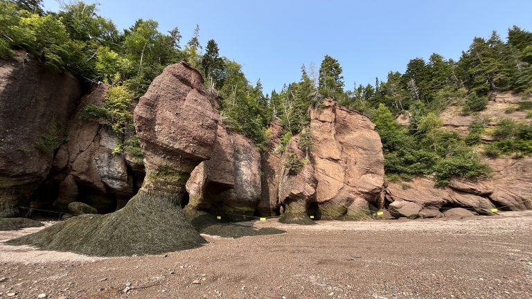 Hopewell Rocks Provincial Park Guide (2026): all You Need to Know Before You Go