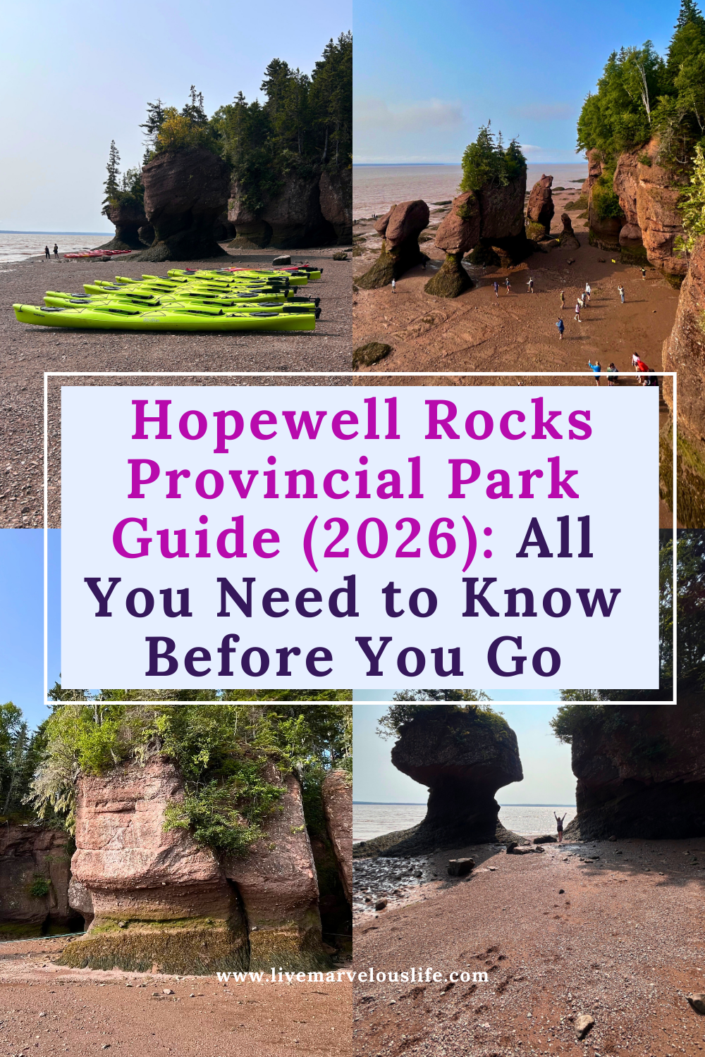 Hopewell Rocks Provincial Park Guide (2026): all You Need to Know ...