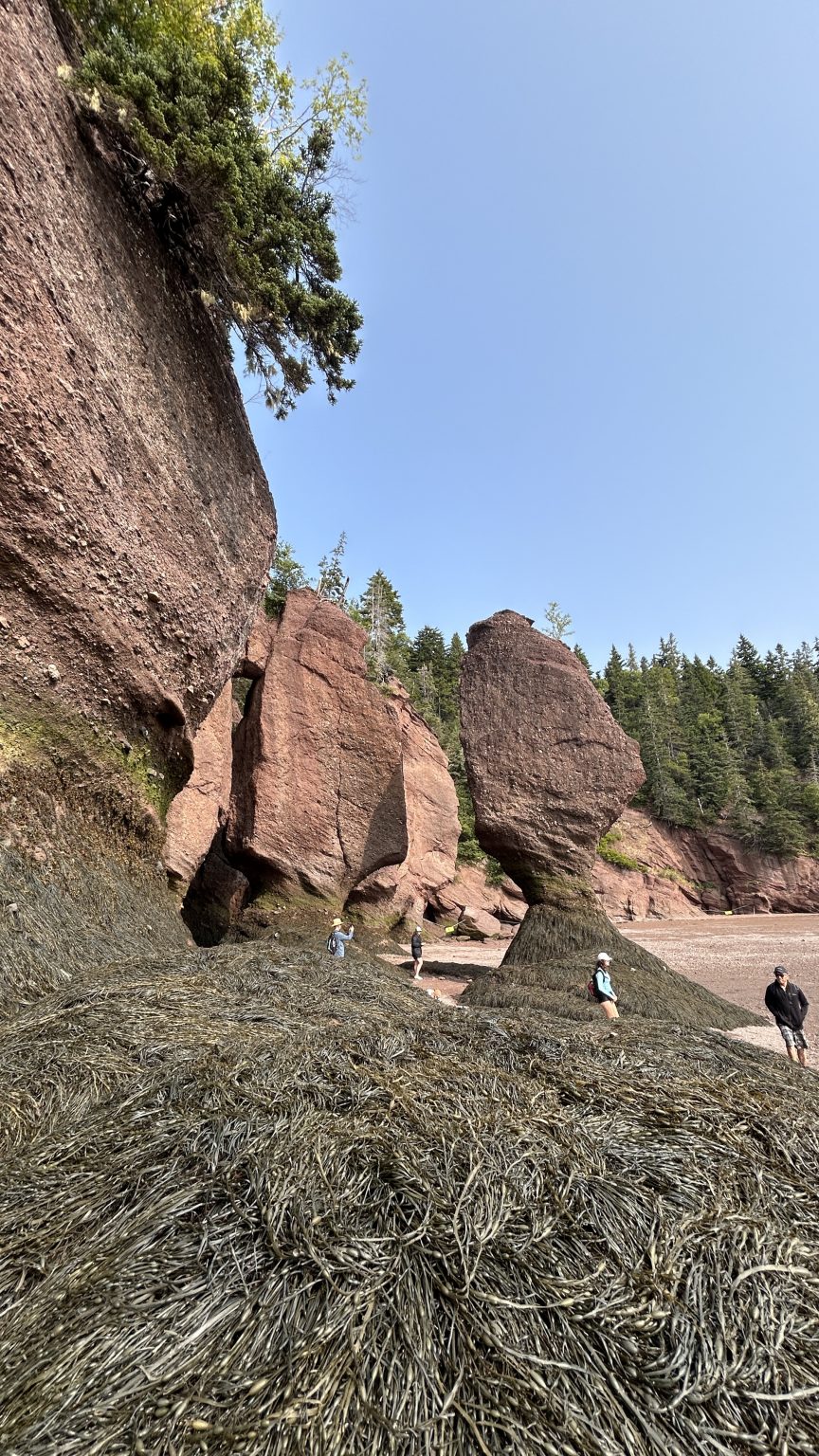 Hopewell Rocks Provincial Park Guide (2026): all You Need to Know ...
