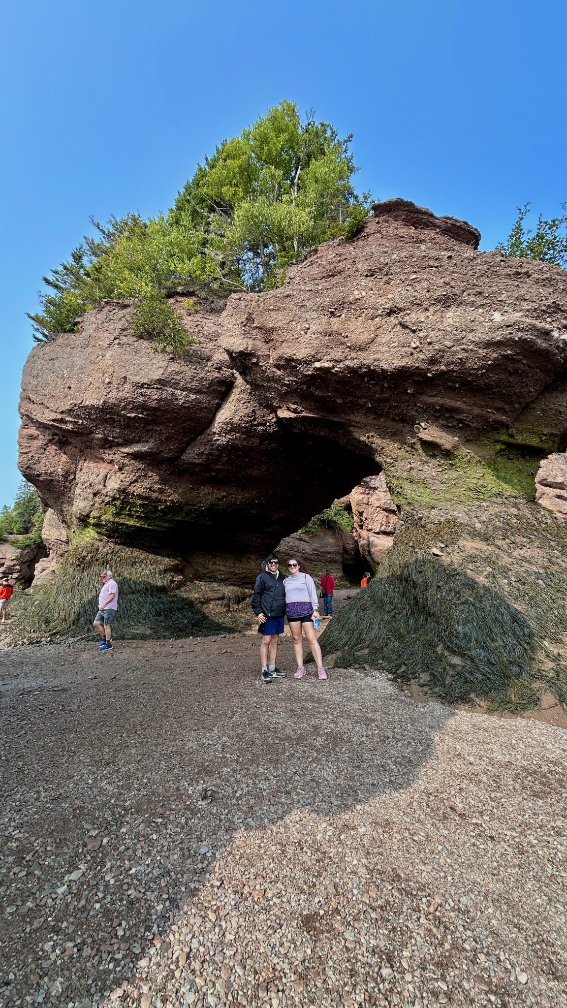 Hopewell Rocks Provincial Park Guide (2026): all You Need to Know ...