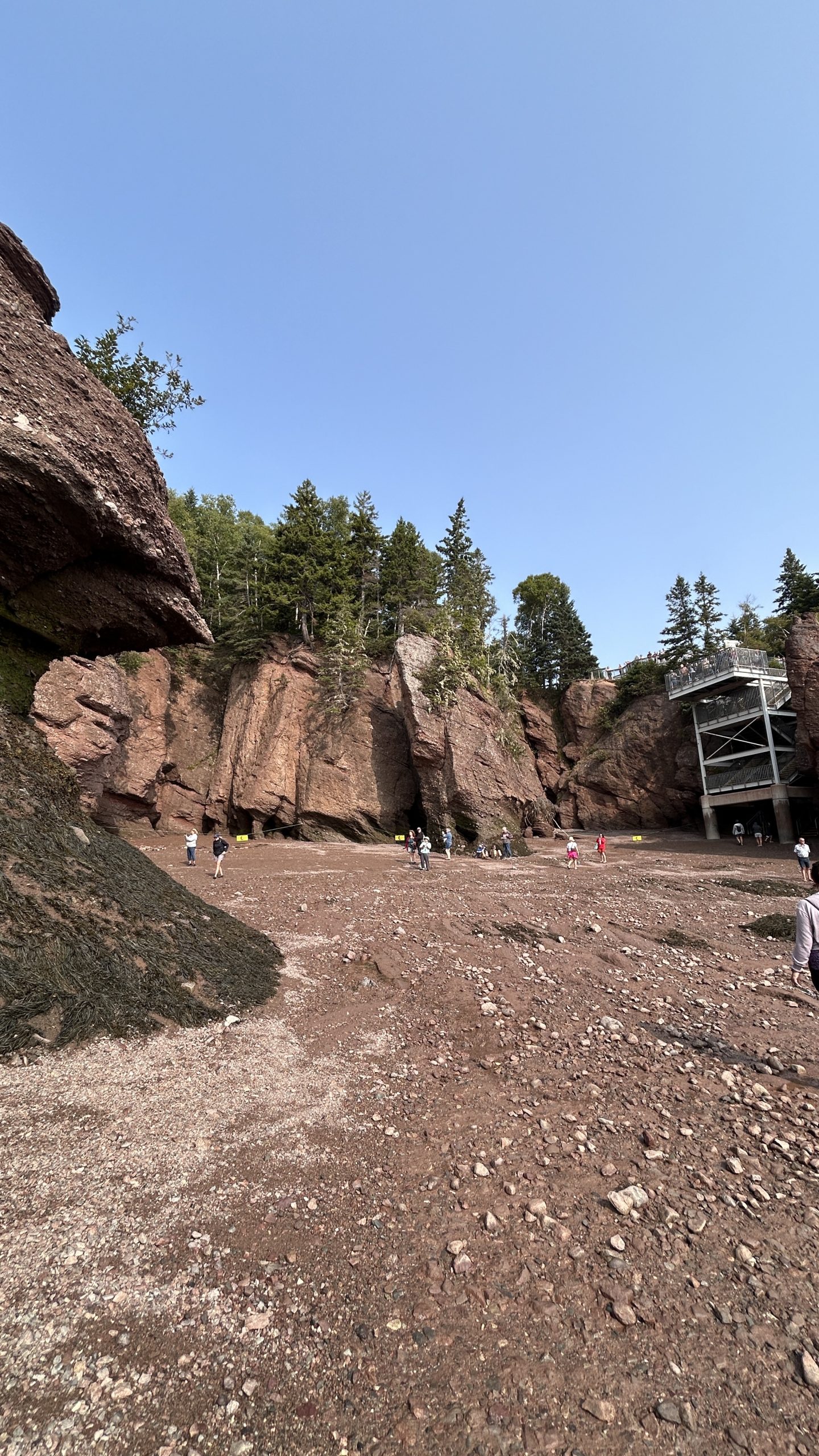 Are Hopewell Rocks worth visiting? Our Experience in New Brunswick