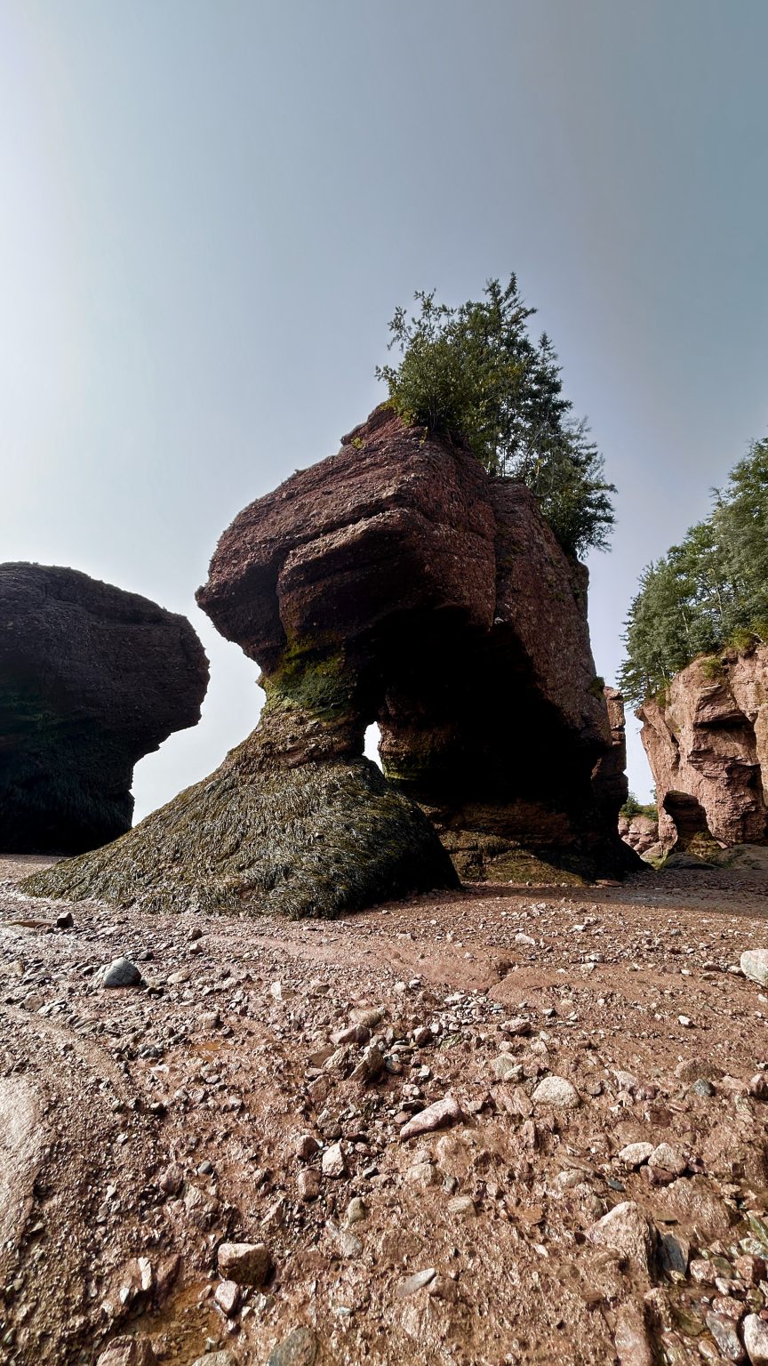 Hopewell Rocks Provincial Park Guide (2026): all You Need to Know ...