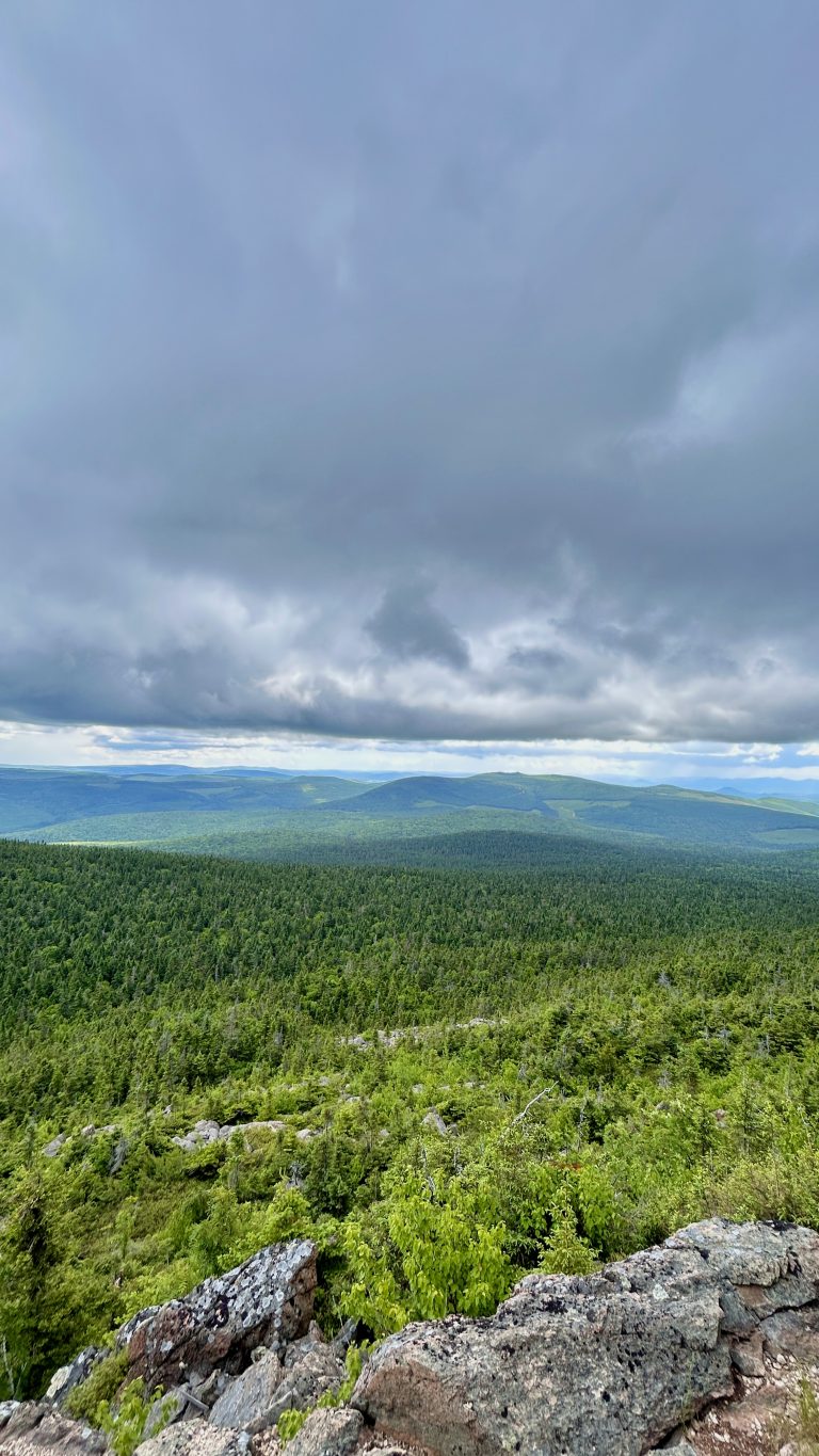 50 Best Things to Do in New Brunswick (Complete Travel Guide)