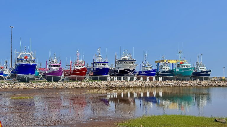 Is New Brunswick Worth Visiting? 5 Weeks Exploring The Province