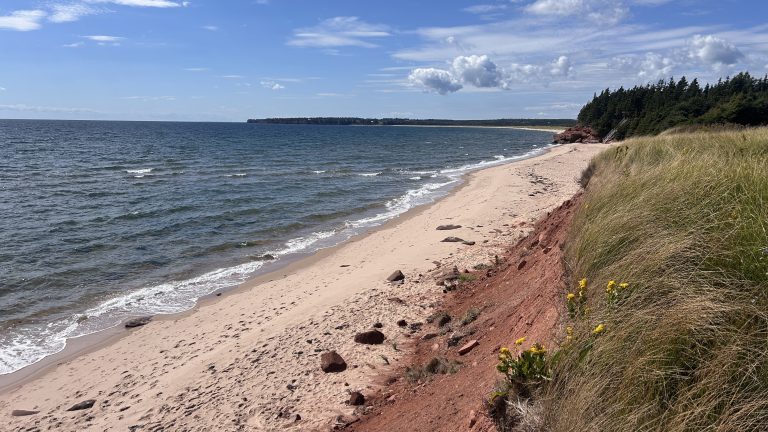 Is Prince Edward Island Worth Visiting? A complete travel guide